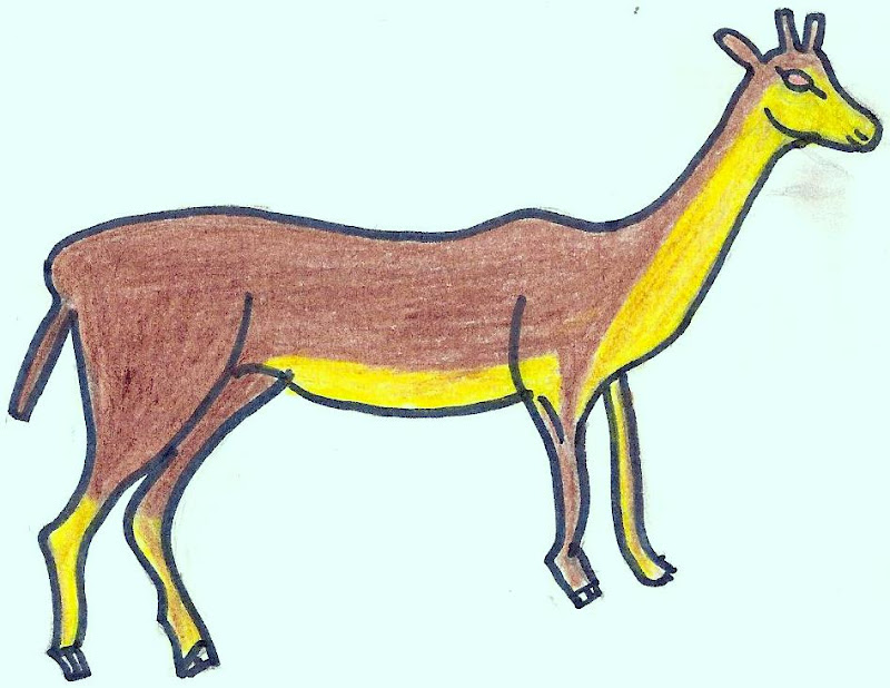 Comment Chasse T On Le Dahu Le dahu - Le p'tit site des enfants de la Xaintrie